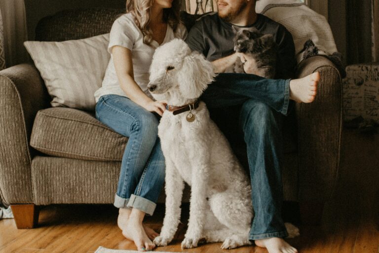 A man and woman sitting on the couch, with a white poodle dog sitting at the front center on the floor.