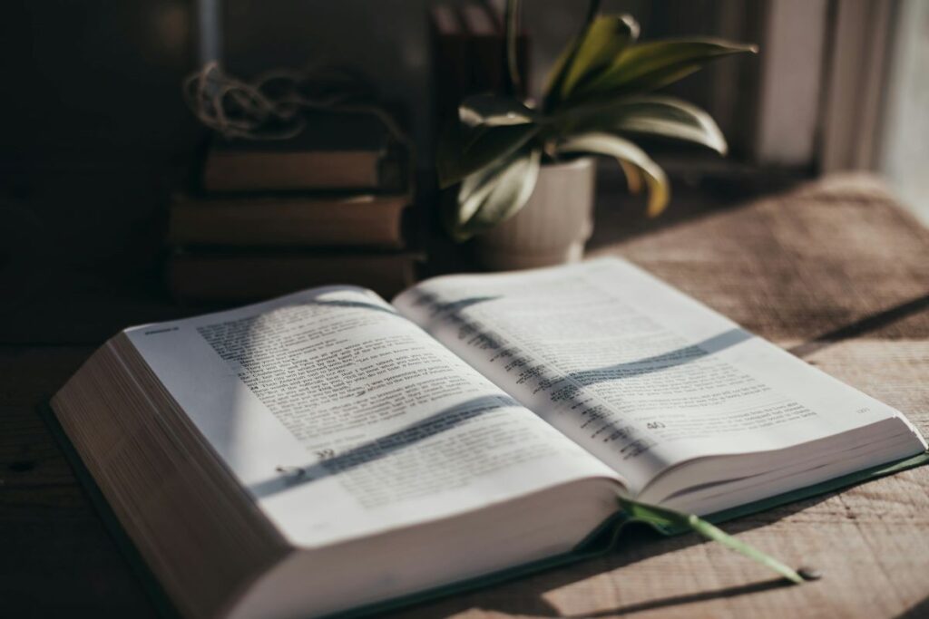 Photo of a bible with a plant next to it