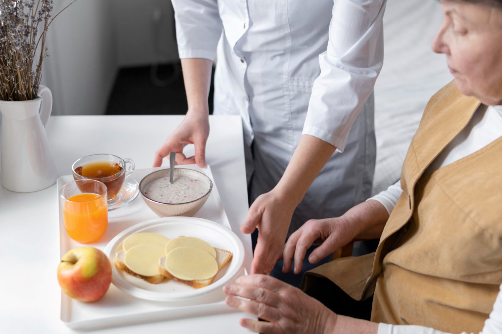 a photo of a caregiver routinely feeding an old woman to simplify family caregiving